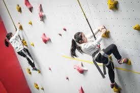 全明星赛阵容讨论升温