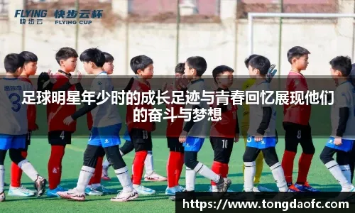 棒球与增强现实技术让现场球迷通过AR眼镜实时看到球的运动数据